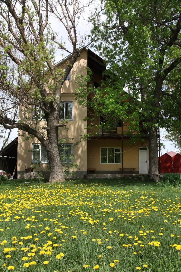 Hotel Дом Жени И Люды Zhabagly Zewnętrze zdjęcie